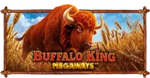 ภาพเกม Buffalo King Megaways ที่ g2g555 รวบรวมไว้